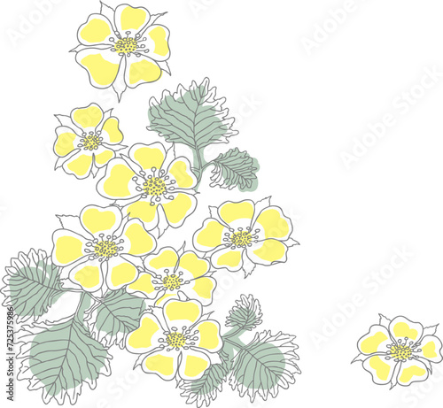 Hand-painted wild strawberries white background frame material