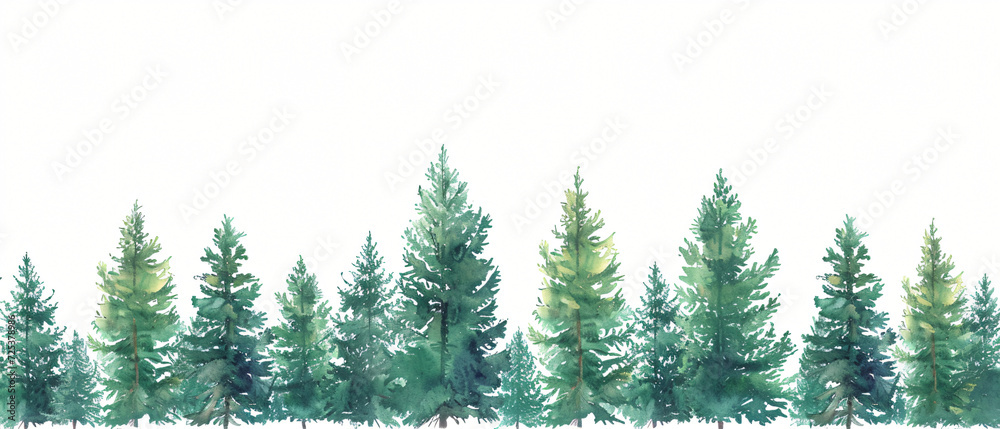 Illustration with high pines in fir trees