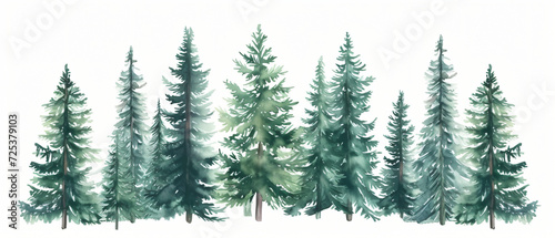 Illustration with high pines in fir trees