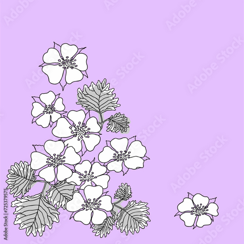 Hand-painted wild strawberry frame material