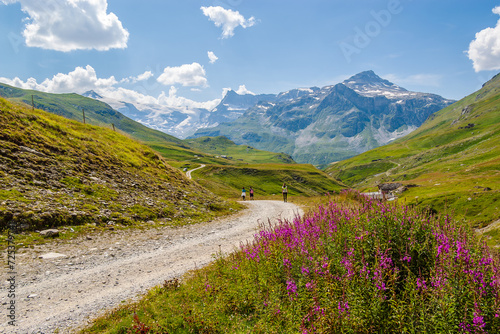 Mountain hiking path, landscape in Vanoise National Park, French Alps.