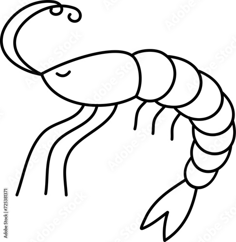 cute shrimp cartoon lineart