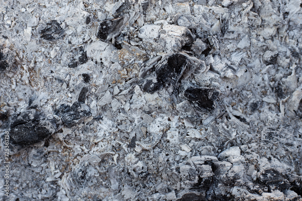 Fototapeta premium Gray ash from burnt coals. Background, texture