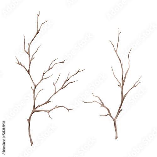 Watercolor illustration fall tree branch without leaves. Brown dry straight twig. Isolated on a white background. For rustic print design or eco friendly packaging. Minimalist style