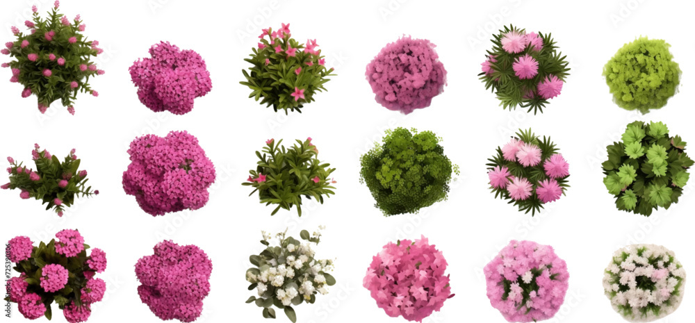 Set of top view of flower bushes isolated on white background.