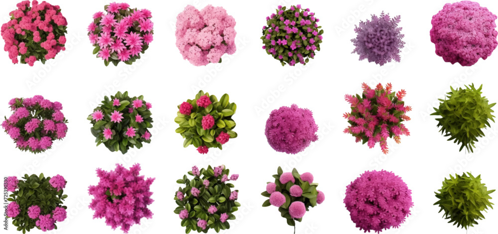 Set of top view of flower bushes isolated on white background.