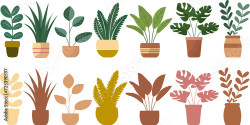 flowers in flowerpots, on a white background vector
