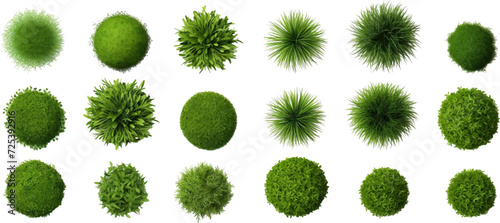 Set of top view of grass bushes isolated on white background.