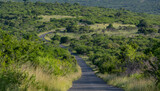 Buschland im Naturreservat Hluhluwe Imfolozi Park Südafrika