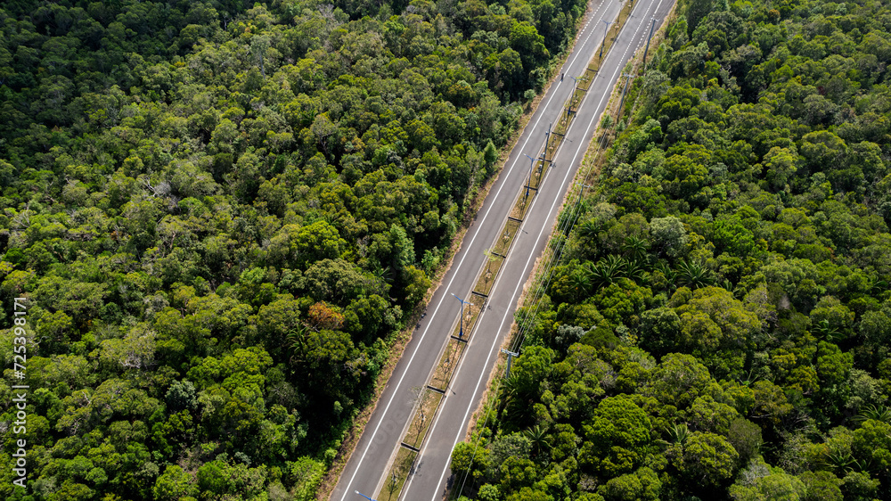 Aerial view of a dual carriageway road cutting through a dense tropical rainforest, representing infrastructure and environment interaction - obrazy, fototapety, plakaty 