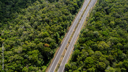 Aerial view of a dual carriageway road cutting through a dense tropical rainforest, representing infrastructure and environment interaction