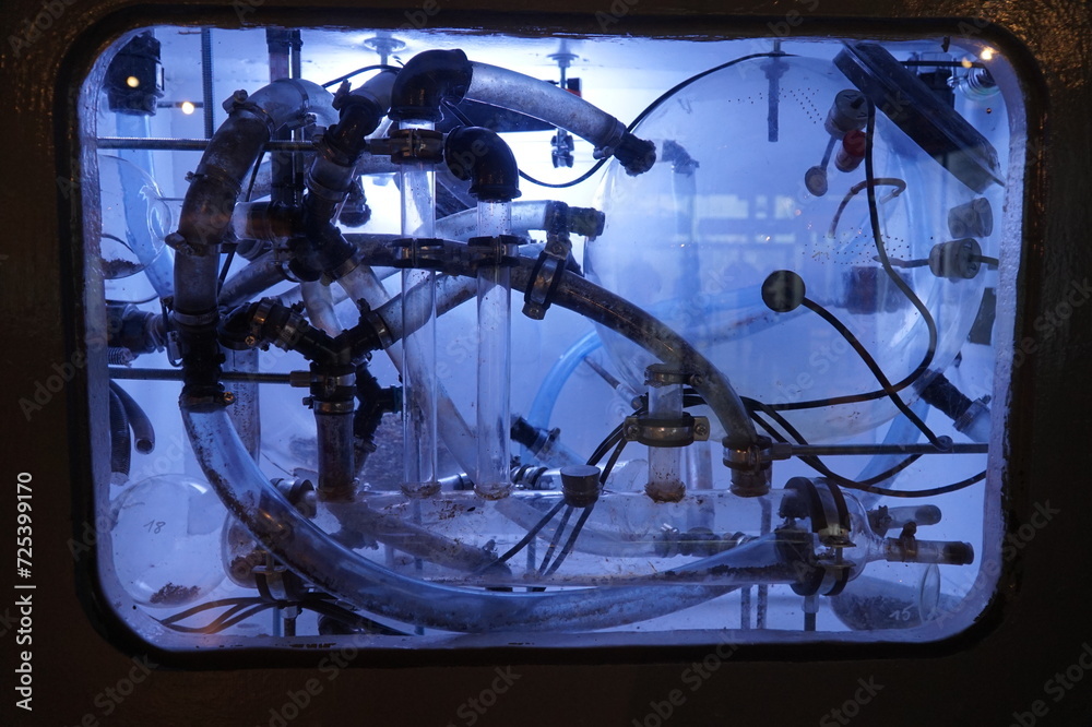 Obraz premium A blue-lit aquarium with insects.