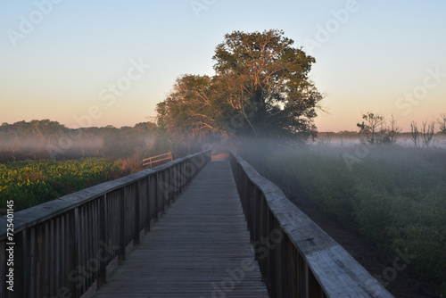 Wooden walkway in the Brazos Bend State Park at sunset. photo