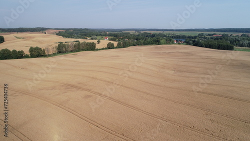Fototapeta Naklejka Na Ścianę i Meble -  zboża