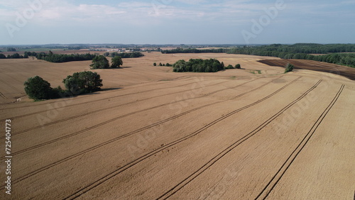 Fototapeta Naklejka Na Ścianę i Meble -  zboża