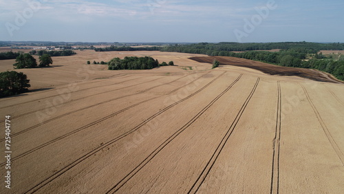 Fototapeta Naklejka Na Ścianę i Meble -  zboża