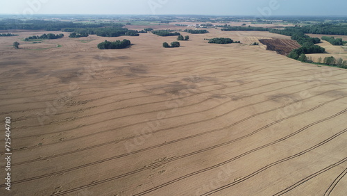 Fototapeta Naklejka Na Ścianę i Meble -  zboża