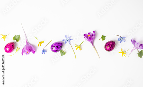 Happy Easter. Colorful quail eggs and flowers crocus isolated on a white background. Flat lay, top view and copy space
