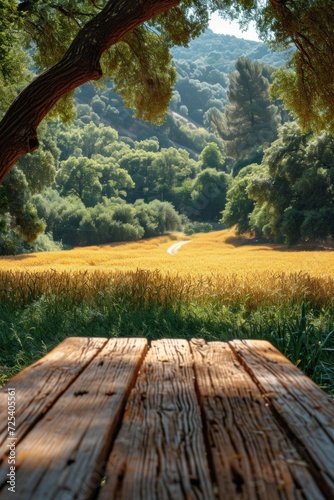 Golden Sunset Over a Rustic Wooden Table in a Tranquil Field