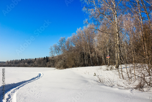 White snow-covered field against the backdrop of a mixed forest on a winter sunny day, January landscape