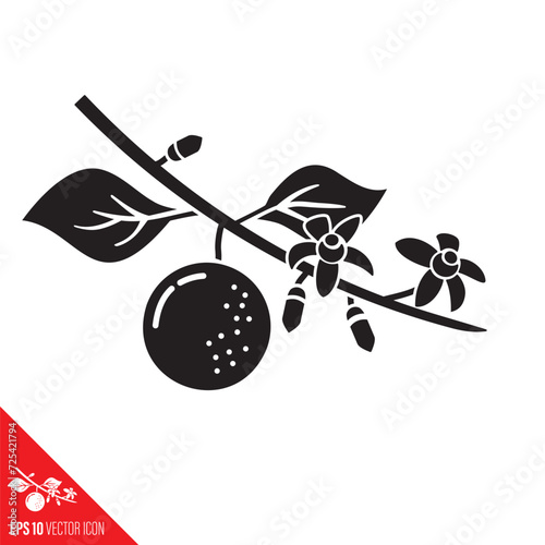 Orange tree twig with fruit, leaves and blossoms vector glyph icon