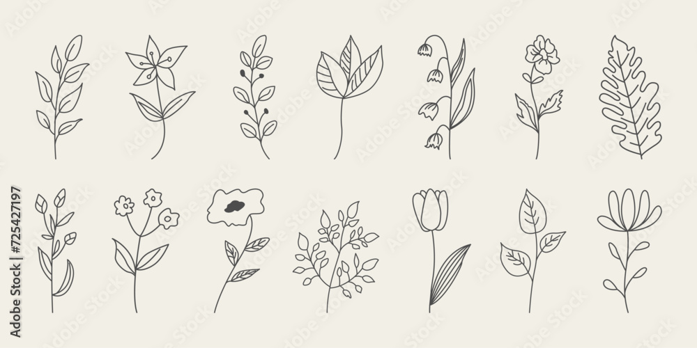 Set of floral botanical doodle. Minimal branches with flowers and leaves. Hand drawn botanical decorative elements. 