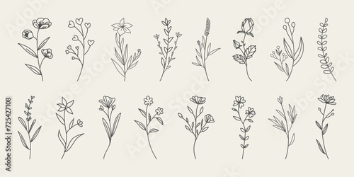 Set of hand drawn minimal tropical flowers and leaves. Botanical line drawing vector.