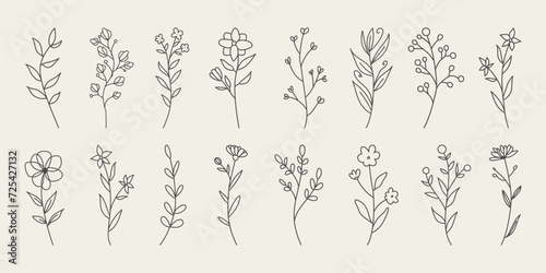 Set of hand drawn minimal tropical flowers and leaves. Botanical line drawing vector. © Robin Khan