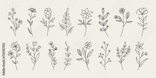 Set of hand drawn minimal tropical flowers and leaves. Botanical line drawing vector.