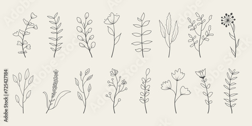 Set of minimal leaves. Hand drawn botanical decorative elements. 