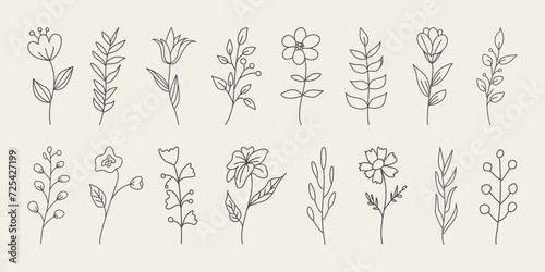 Set of floral botanical doodle. Minimal branches with flowers and leaves. Hand drawn botanical decorative elements.  © Robin Khan