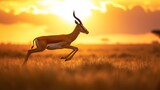 Stunning Sunset Leap of Graceful Gazelle AI Generated.
