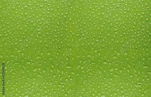 Obraz na płótnie fundo verde com gotas de água