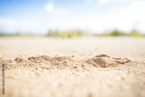 dry and powdery sandy soil in a desert