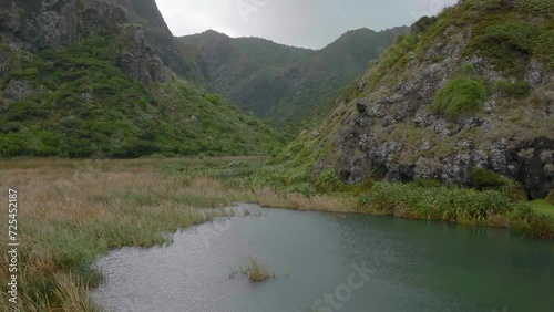 Aerial: Swamp marsh and native forest on hills in the Waitakere ranges, Karekare,Auckland, New Zealand photo