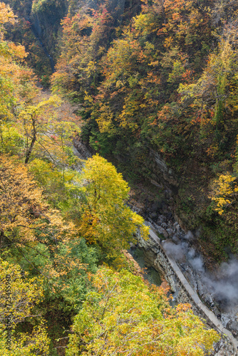 日本 秋田県湯沢市の小安峡の河原湯橋からの紅葉と大噴湯