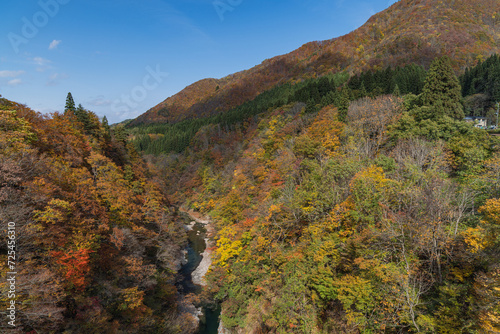 日本 秋田県湯沢市の小安峡の紅葉