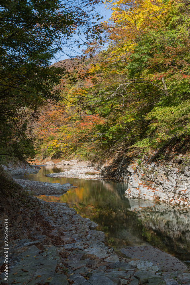 日本 秋田県湯沢市の小安峡の紅葉 日本 秋田県湯沢市の小安峡の紅葉