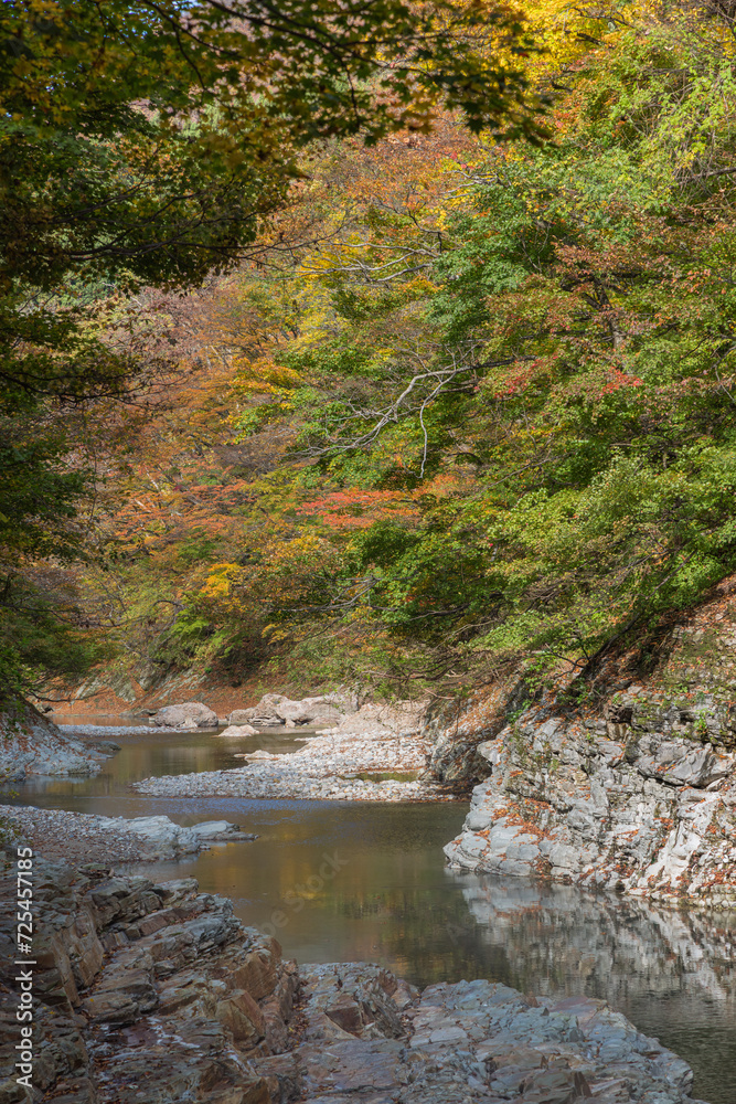 日本 秋田県湯沢市の小安峡の紅葉 日本 秋田県湯沢市の小安峡の紅葉