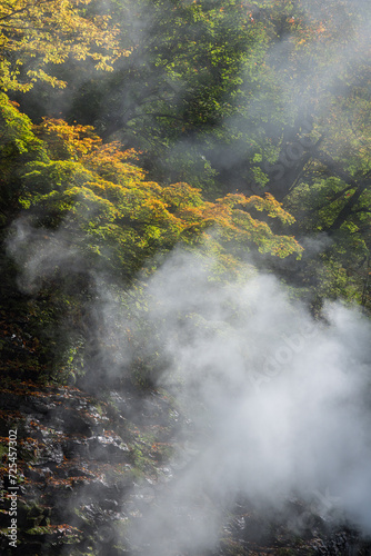 日本 秋田県湯沢市の小安峡の紅葉した木々と蒸気をあげる大噴湯