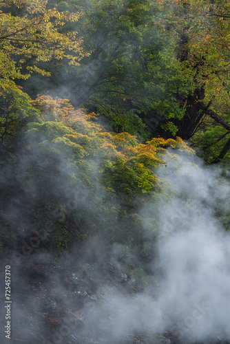 日本 秋田県湯沢市の小安峡の紅葉した木々と蒸気をあげる大噴湯