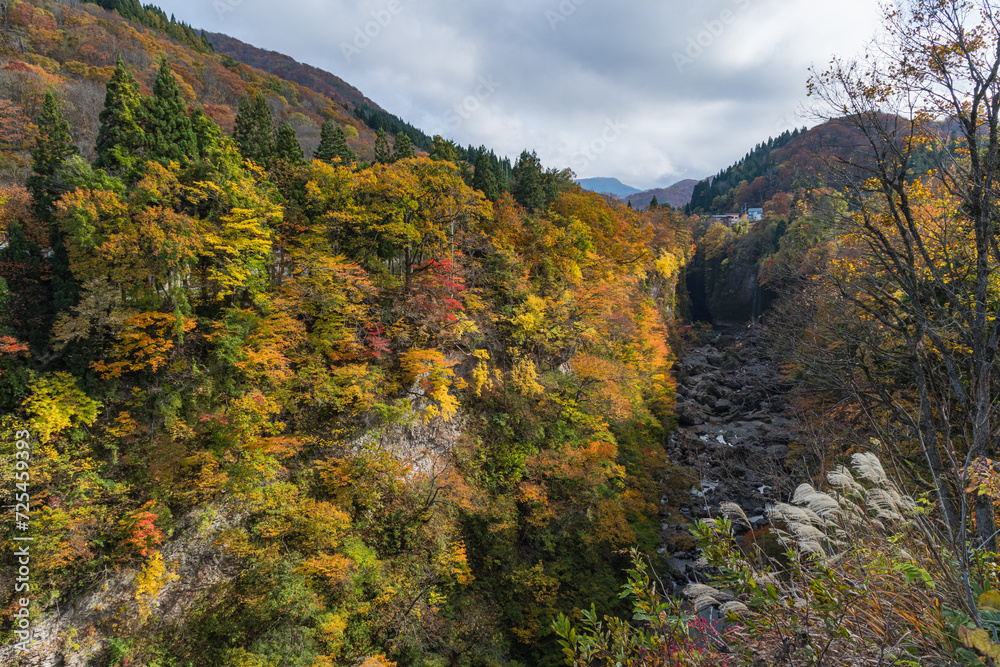 日本　秋田県湯沢市の小安峡の紅葉と皆瀬川