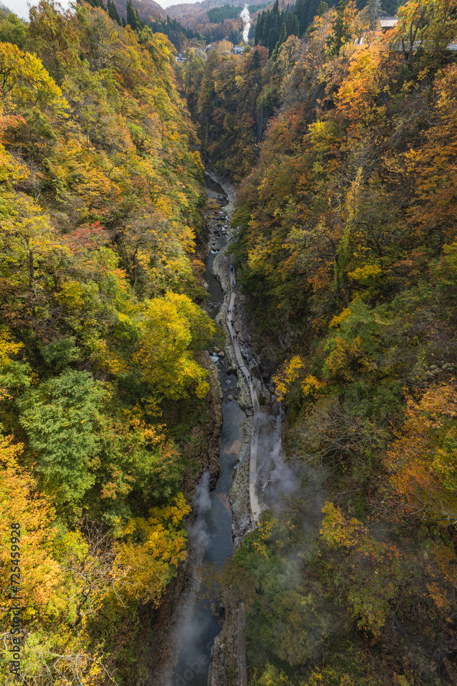 日本　秋田県湯沢市の小安峡の河原湯橋から眺める紅葉した木々