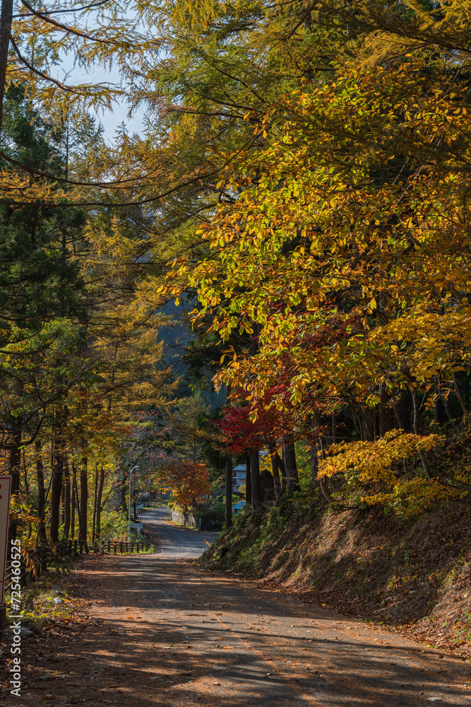 Naklejka premium 日本 秋田県湯沢市の三途川橋脇の紅葉