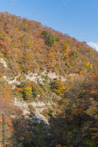 日本　秋田県湯沢市の三途川橋から見える三途川渓谷と紅葉した木々 © pespiero