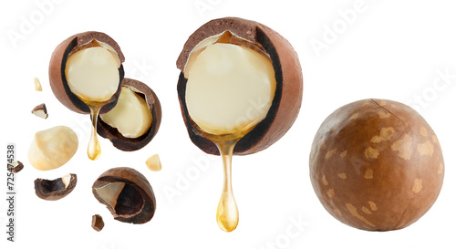 Cuadro en lienzo Set of macadamia nuts and oil dripping, isolated on white background