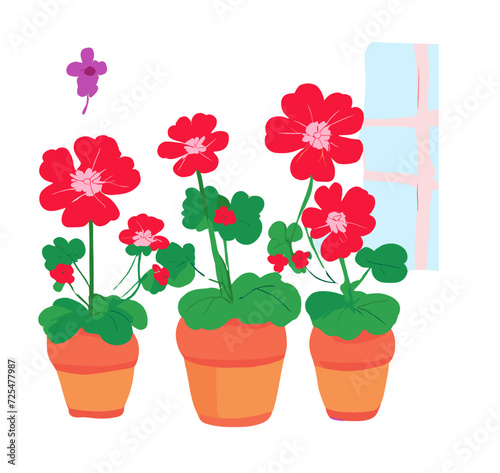 set of flowers in pots