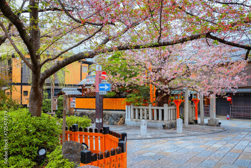 Tatsumi Daimyojin Shrine in Gion district, Kyoto, Japan photo