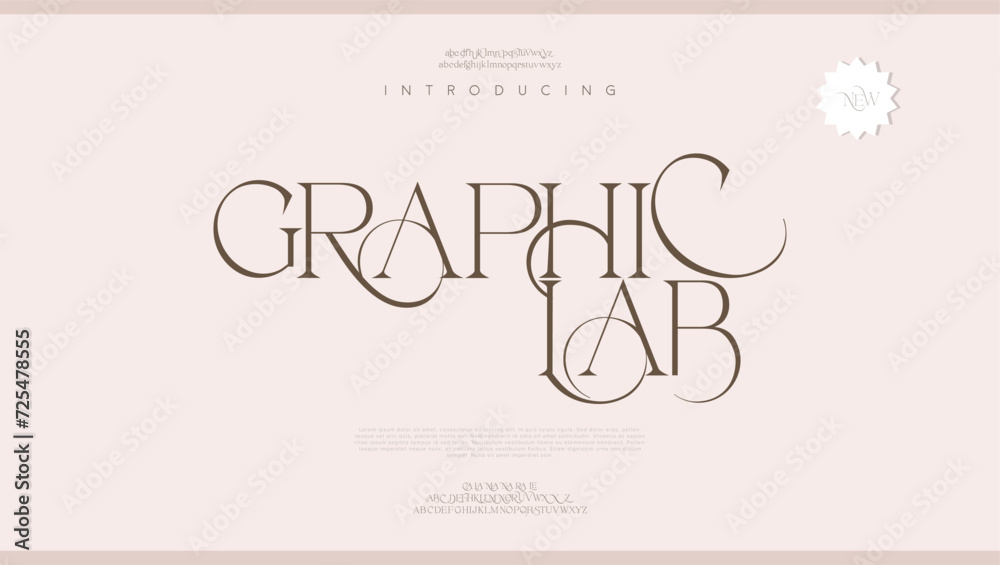 Graphic lab, elegant alphabet letters font classic modern serif ...