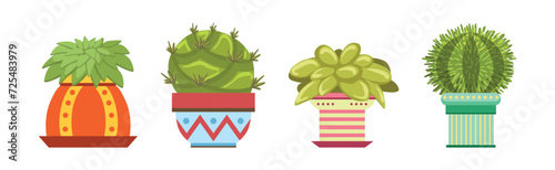 Green Spiky Cactus Plant Growing in Ornamental Ceramic Pot Vector Set